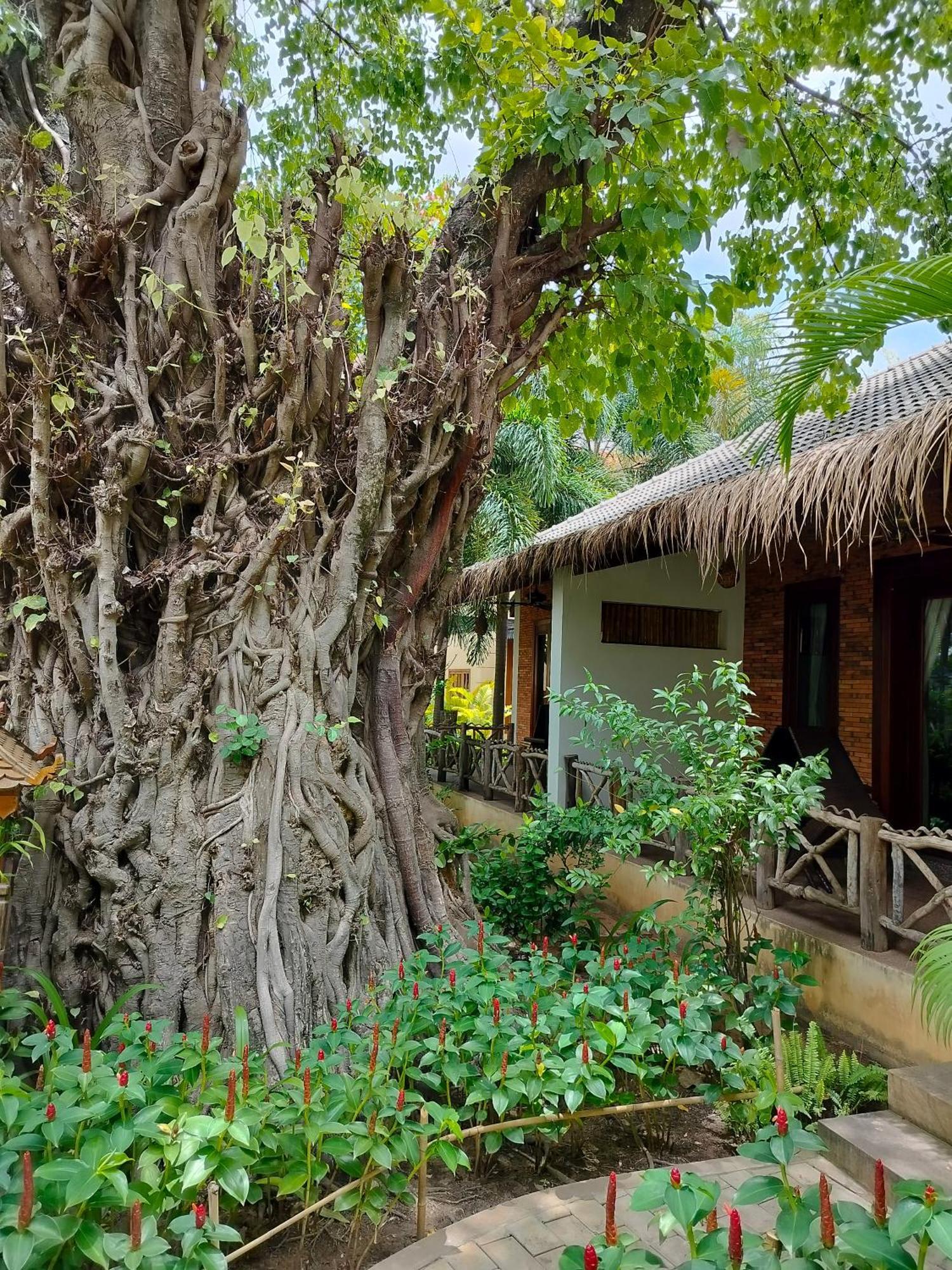 La Riviere D' Angkor Resort Siem Reap Exterior foto